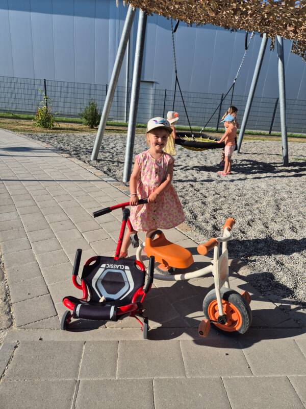 Bild