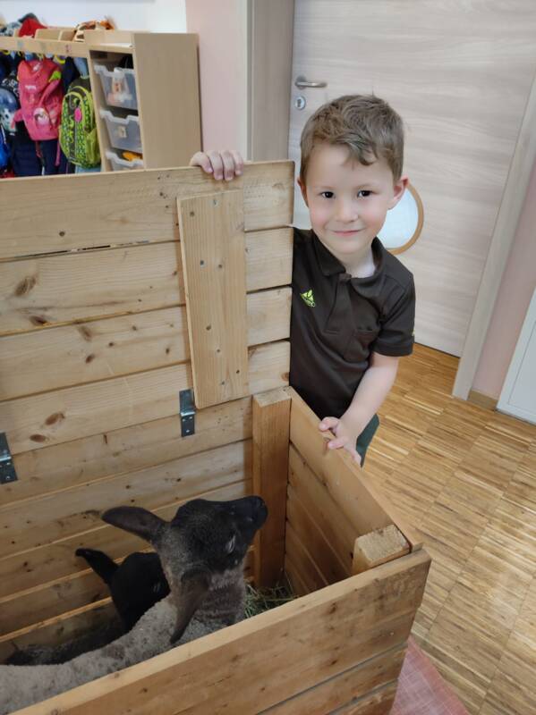 Tierbabys bei den Blumenzwergen 1