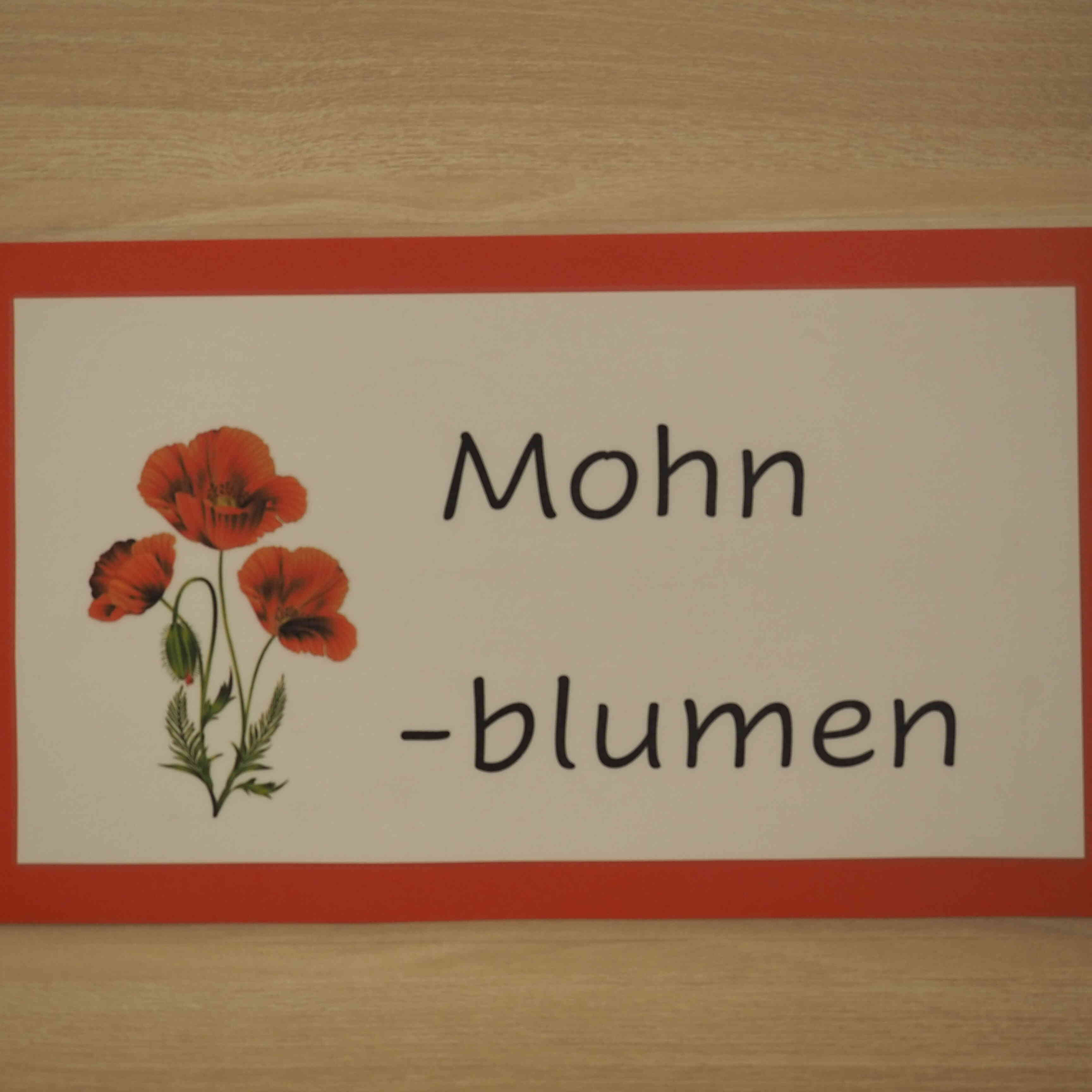 Mohnblumen
