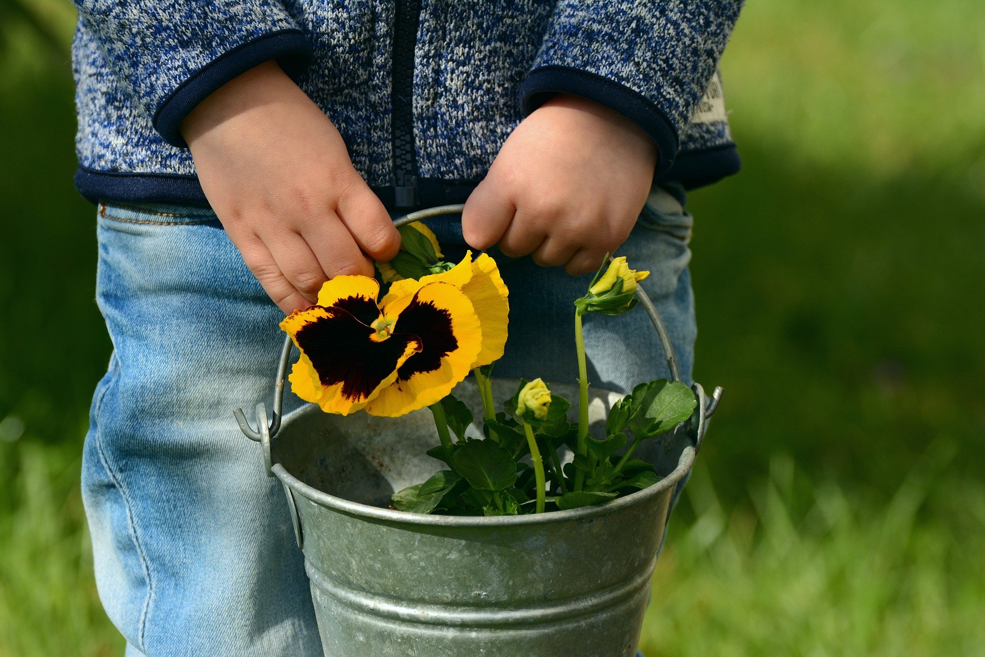 Kind mit Eimer und Stiefmütterchen