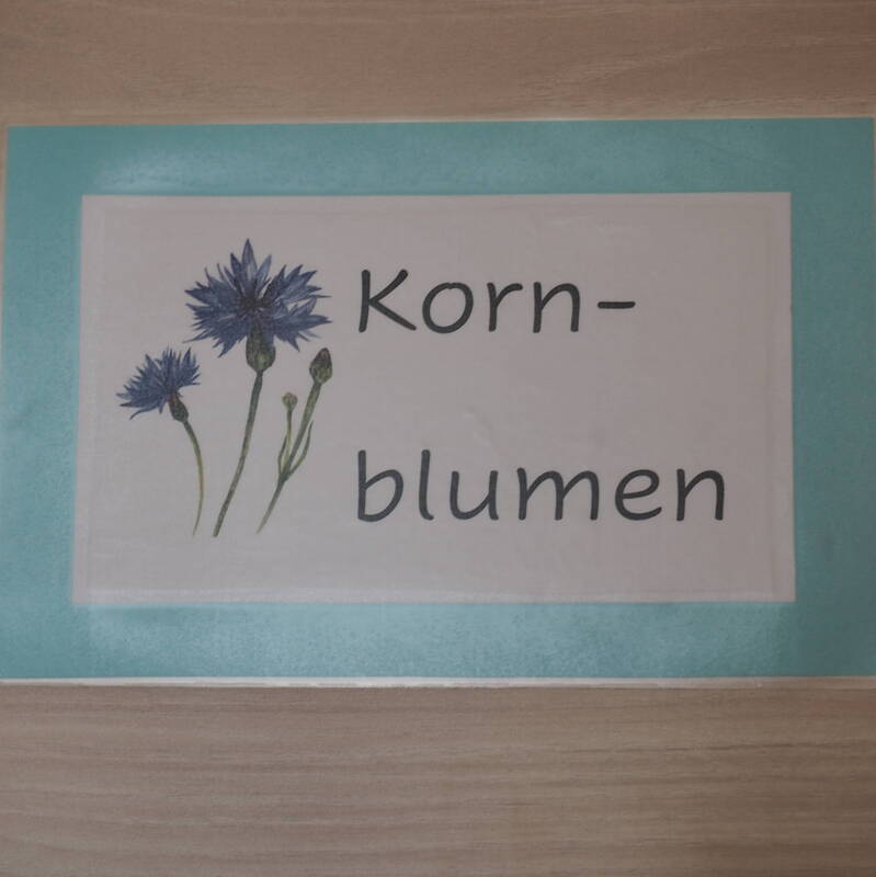 Kornblumen