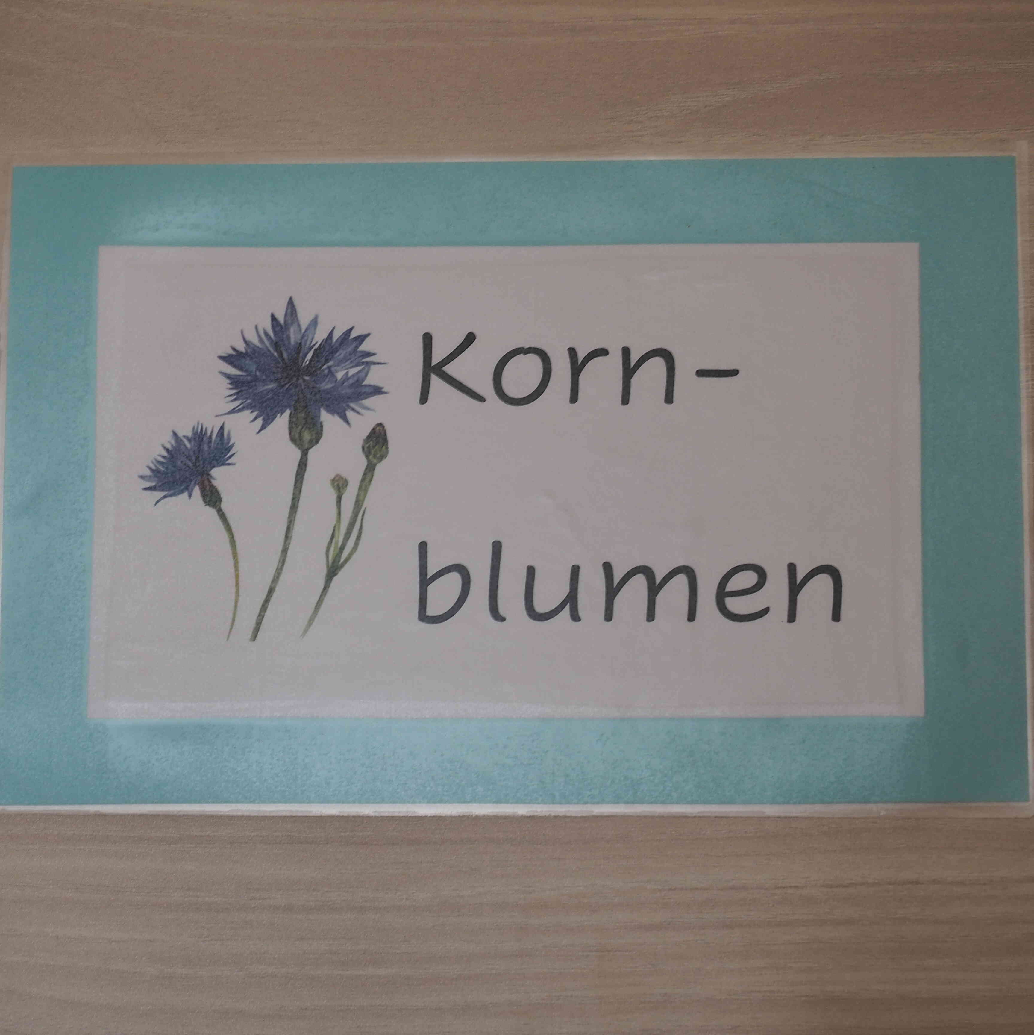 Kornblumen