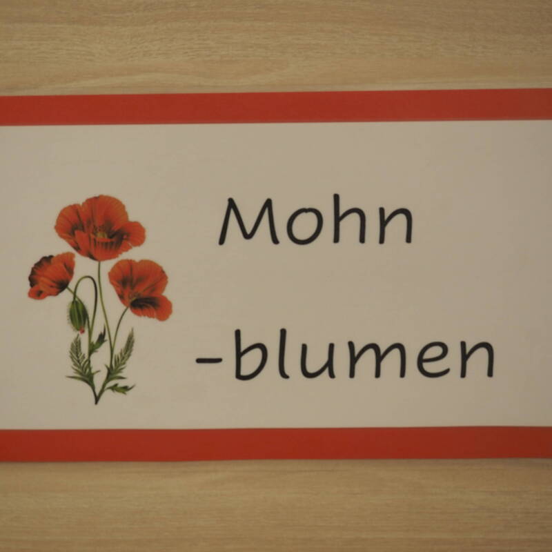 Mohnblumen